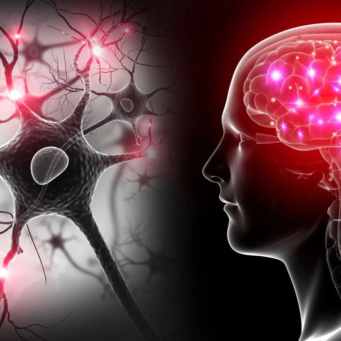 The Science Behind Red Light Therapy: Why Lumara Is Setting a New Standard