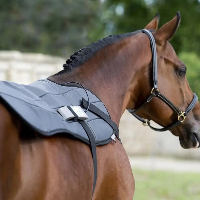 OMI PEMF Horse Blanket