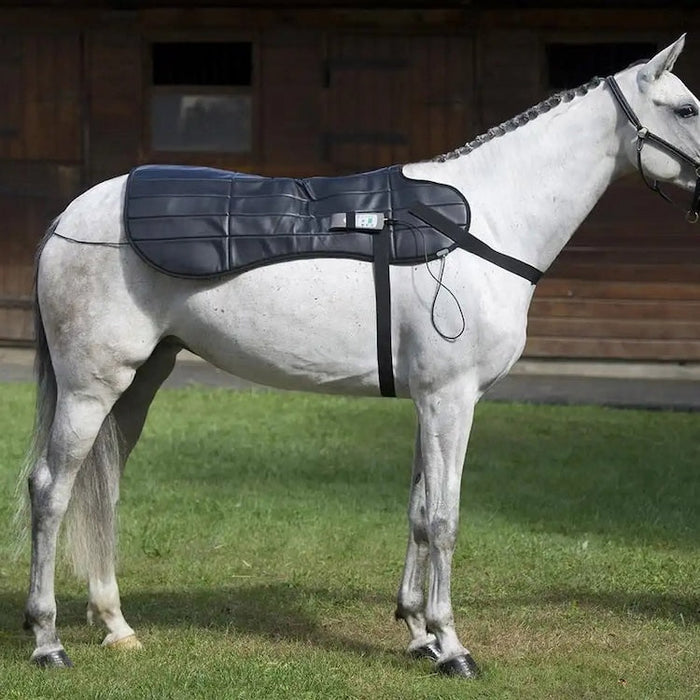 OMI PEMF Full Equine Package