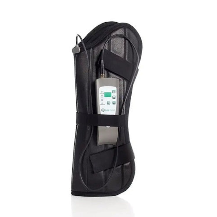 OMI PEMF Horse Front Leg Wrap