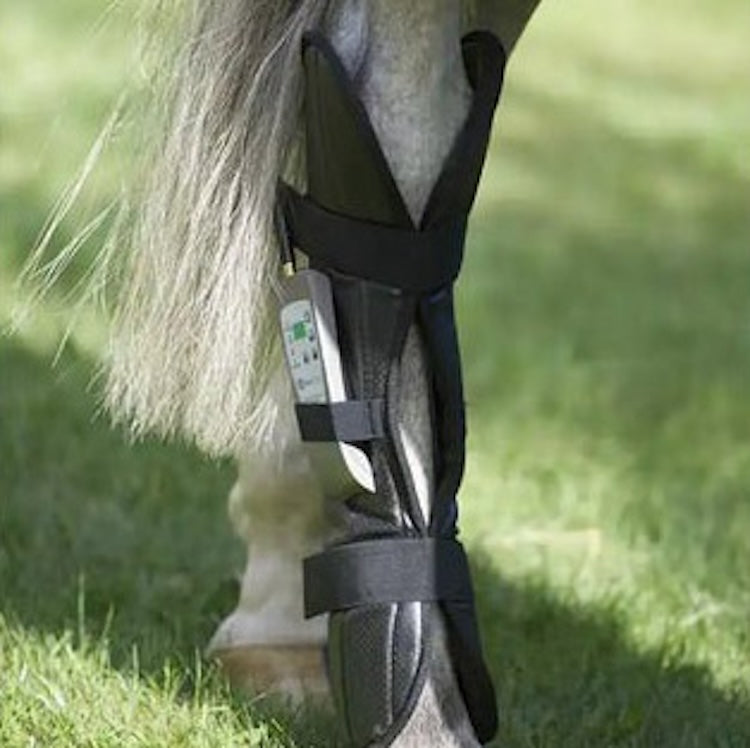 OMI PEMF Full Equine Package