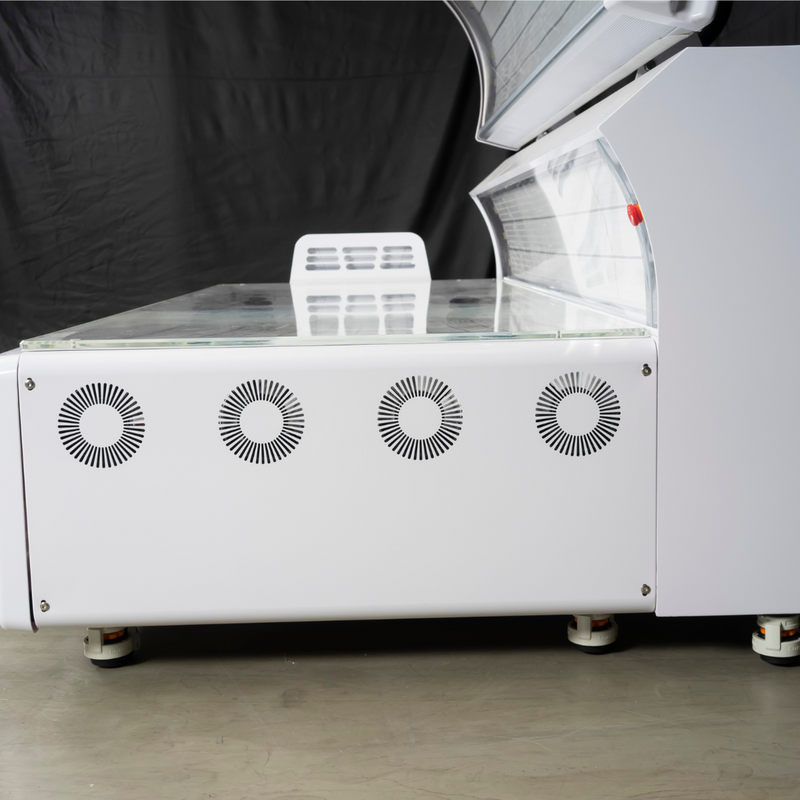 Airvida Radiance Red Light Therapy Bed For Home & Commercial Use